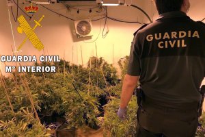 Plantación encontrada por la Guardia Civil.