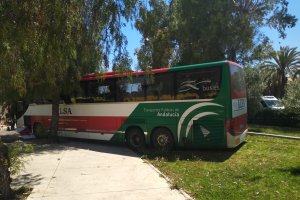 Plano cercano del autobús empotrado en la zona ajardinada de Los Pinos