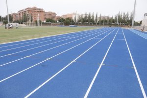 Las pistas preparadas para la actividad.