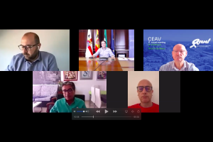 Imagen del encuentro telemático.