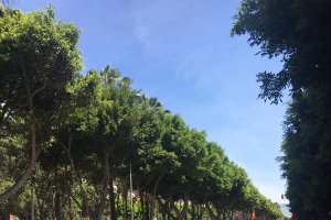 \'Cocheroladas\' en Almería capital.