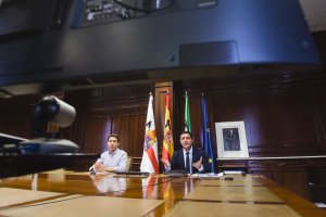 Imagen del presidente y el diputado de la Diputación durante la reunión telemática.