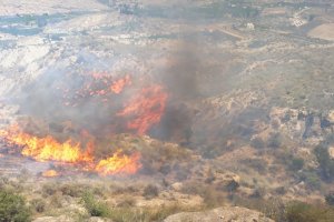 Imagen del Infoca del incendio de Terque.