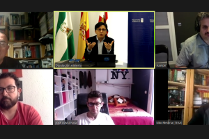 Encuentro telemático entre diputado de Cultura, representantes de esta asociación y técnicos de la institución.