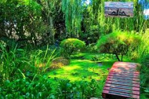 El área de Turismo no sólo hace gala de sus playas, sino también de su naturaleza, como el Jardín Botánico La Almunya del Sur.