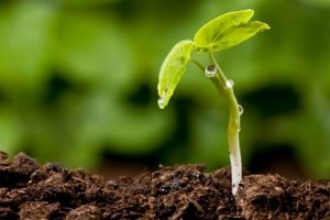 Porque ahora, como siempre, somos más cercanos y estamos a tu lado. Recuerda, somos un equipo.