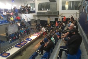 Subasta de marisco  fresco en la lonja de Almería.