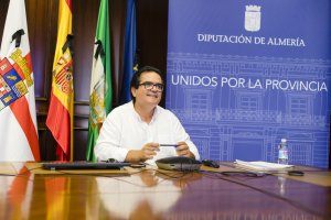 Diputado de Promoción Agroalimentaria, Antonio J. Rodríguez en la reunión virtual.