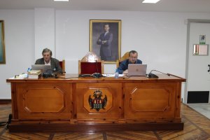 El alcalde y el secretario en el pleno ordinario telemático.