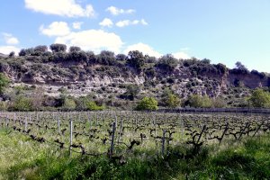 Terrera de Fuente Victoria.