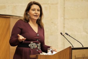 Carmen Crespo durante su comparecencia.