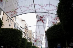 Desde mediados de mes el Paseo de Almería contará con toldos.