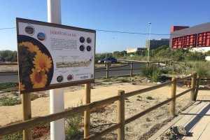 LA UAL realiza una gestión sostenible de sus nuevos jardines botánicos, espacios destinados a la sal, el yeso y los medios volcánico y acuático.