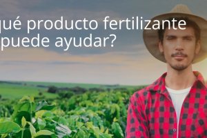 Imagen de la campaña.