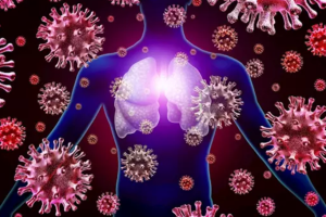 Los linfocitos son célular encargadas de la defensa del cuerpo frente a virus.