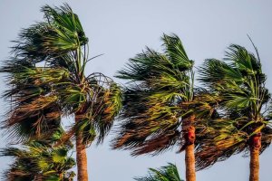 El viento vuelve a soplar con fuerza este sábado en el litoral almeriense.