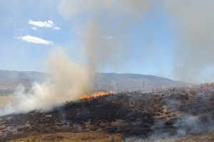 Imágenes del incedio publciadas por Plan Infoca en su cuenta de Twitter.