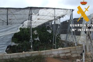 Los detenidos intentaron prender fuego hasta en dos ocasiones al invernadero.