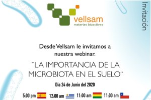 Cartel del webinar internacional.