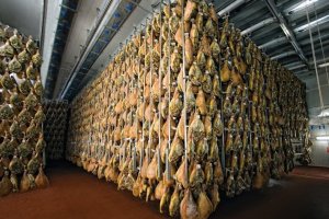 Secadero de jamones en una empresa de Serón.