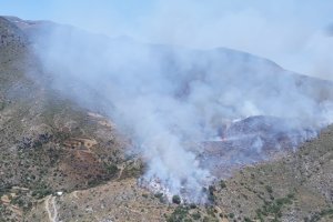 Imagen del incendio publicada en Twitter por @Plan_INFOCA.