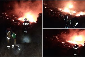 Montaje con tres imágenes publicadas por @Plan_INFOCA.