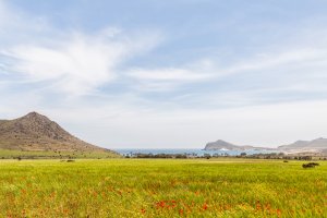 La Playa de Los Genoveses se encuentra a dos kilómetros del cortijo Las Chinqueras. Foto de Chema Artero.