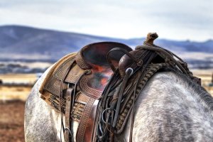 Caballo con su montura.