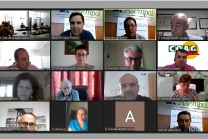 Asistentes a la reunión convocada por la Mesa del Agua de Almería, celebrada telemáticamente por seguridad debido al coronavirus.