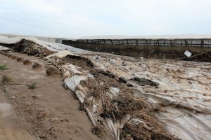 Explotación agrícola dañada en Almería.