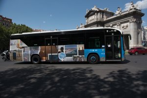 Uno de los autobuses con la imagen de Vera a su paso por la Puerta de Alcalá.