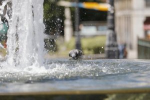 El viento de levante y el calor van a ser protagonistas esta semana en la provincia.