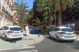 Caída de una palmera en el Parque Nicolás Salmerón.