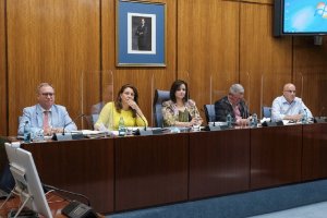 Carmen Crespo durante la comisión parlamentaria de Agricultura, Ganadería, Pesca y Desarrollo Sostenible.