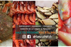 Nueva línea LONJAFRESH en casa, con el objetivo de hacer llegar las mariscadas a cualquier sitio.