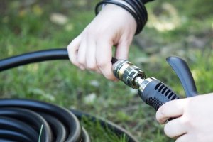 Maximizan el bienestar de las plantas.