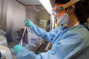 Claves para frenar el coronavirus este próximo otoño.