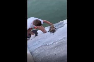 Imagen del vídeo que muestra la valerosa acción de los dos jóvenes.