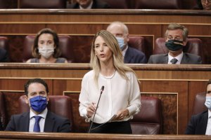 Cayetana Álvarez de Toledo, en el Congreso de los Diputados.