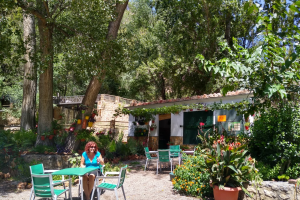 Vista del original bar con un jardín en el que predomina la vegetación.