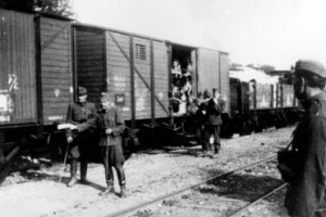 Vagones del Campo de Mauthausen.
