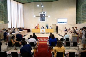 Vista del salón de plenos con las medidas de protección impuestas por la pandemia del coronavirus.