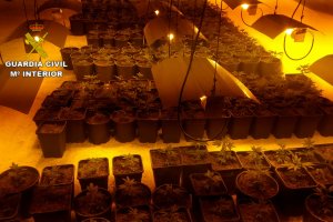 Solo en cinco meses hubo más de 40 transportes de marihuana (Cannabis Sativa).