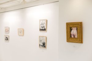 Varias de las obras de Ana Canteras en la Galería Alfareros.