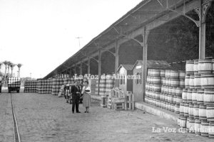 La zona del puerto con los tinglados repletos con barriles de uva, aguardando para ser embarcados para su comercialización. Años cincuenta.