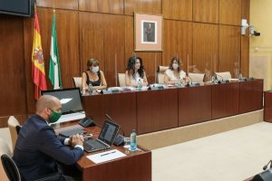 La consejera Rocío Ruiz durante su intervención.