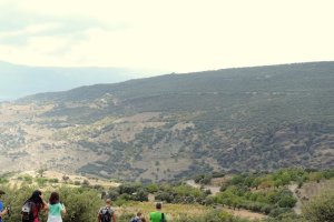 El PMD organiza la Subida al Alfaro.