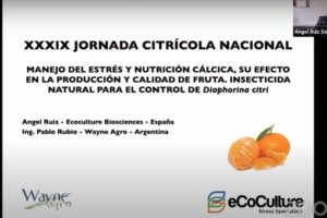 Imagen de las jornadas.