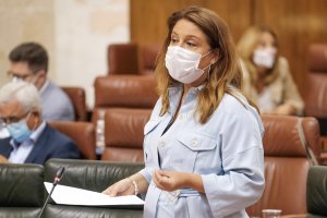 Carmen Crespo en el Parlamento.