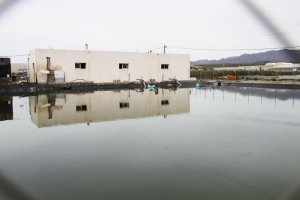 Imagen de archivo de una balsa de riego ubicada en la provincia de Almería.